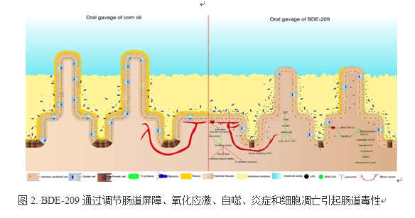 QQ图片20210302144415.png